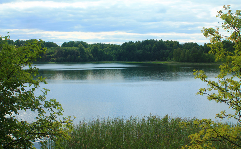 lac-faq