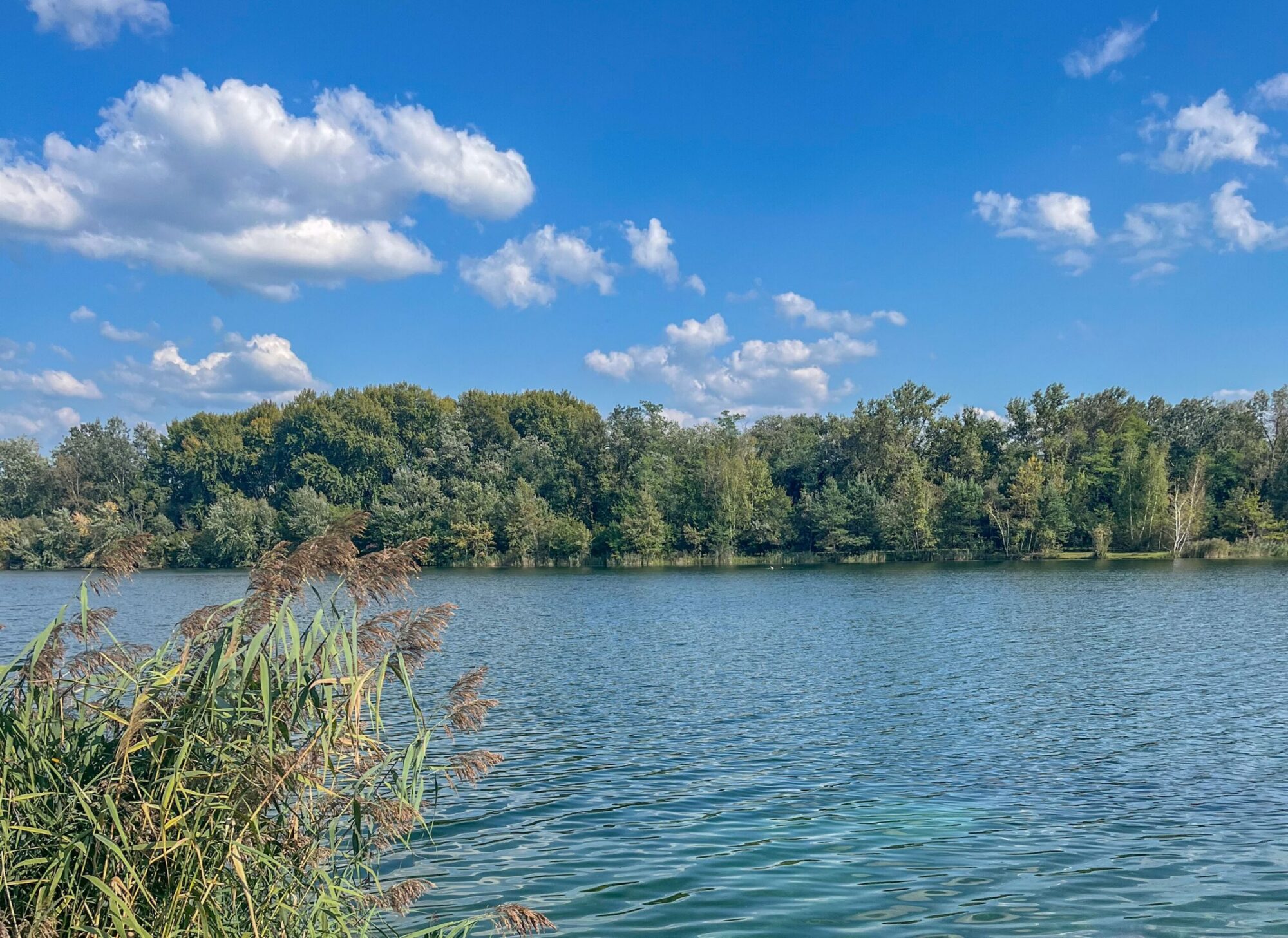 Lac camping 4 copie
