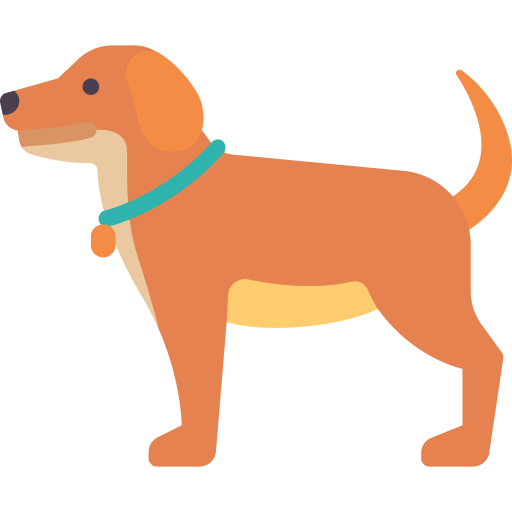 chien 1